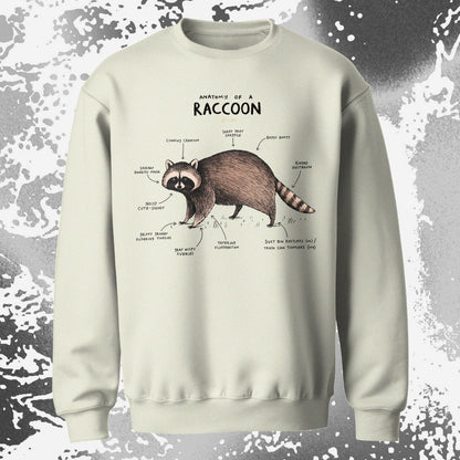 Anatomy of a Raccoon Funny Diagram