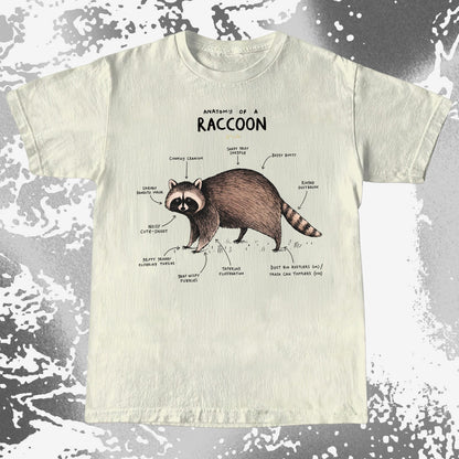 Anatomy of a Raccoon Funny Diagram