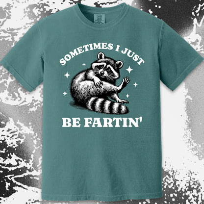 Sometimes I Just Be Fartin’ Raccoon Shirt