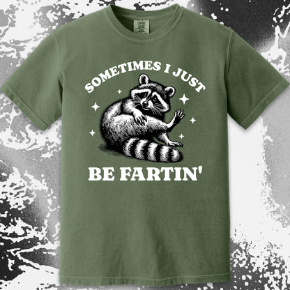 Sometimes I Just Be Fartin’ Raccoon Shirt