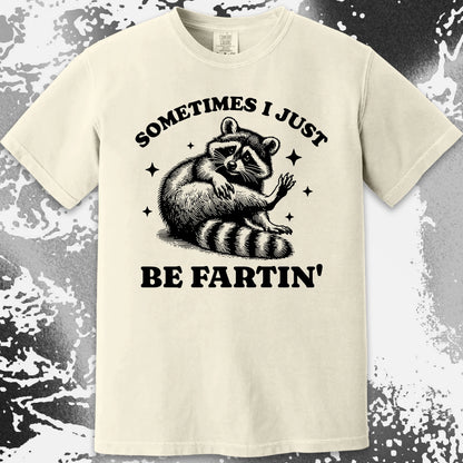 Sometimes I Just Be Fartin’ Raccoon Shirt