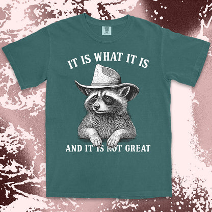 It is what it is raccoon shirt funny sarcastic cowboy tee