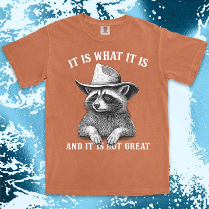 It is what it is raccoon shirt funny sarcastic cowboy tee