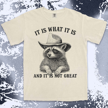 It is what it is raccoon shirt funny sarcastic cowboy tee