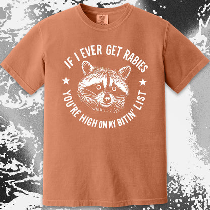 Raccoon If I Ever Get Rabies You’re High On My Bitin List Shirt