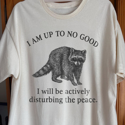 Up To No Good Disturbing The Peace