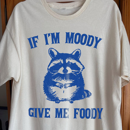 If I’m Moody Give Me Foody Raccoon Shirt