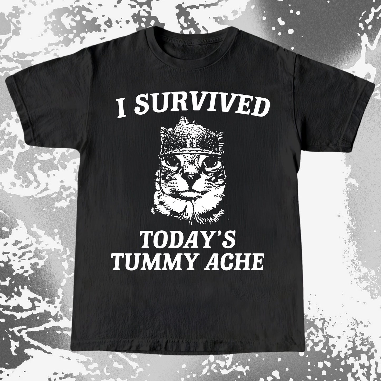 I Survived Today’s Tummy Ache Cat Shirt