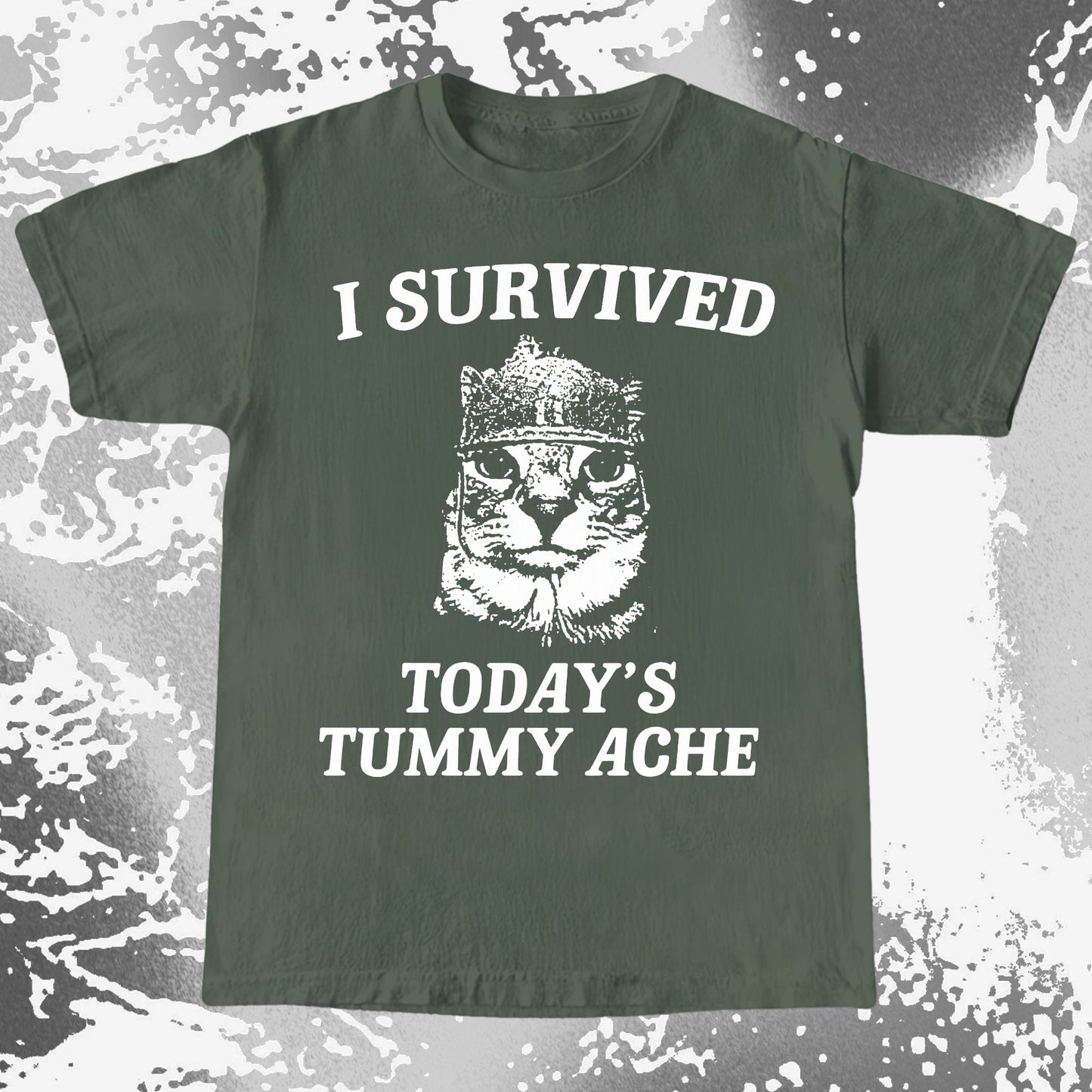 I Survived Today’s Tummy Ache Cat Shirt
