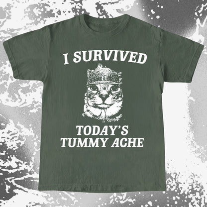 I Survived Today’s Tummy Ache Cat Shirt
