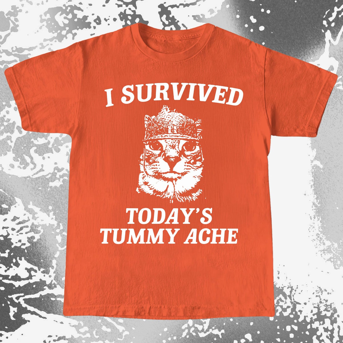 I Survived Today’s Tummy Ache Cat Shirt