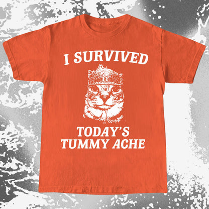 I Survived Today’s Tummy Ache Cat Shirt