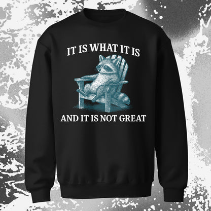 Raccoon It Is What It Is Not Great Shirt