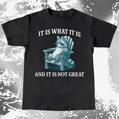 Raccoon It Is What It Is Not Great Shirt