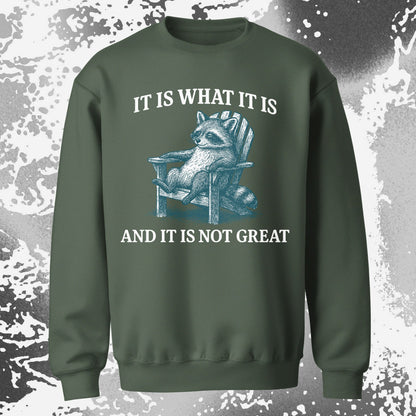 Raccoon It Is What It Is Not Great Shirt