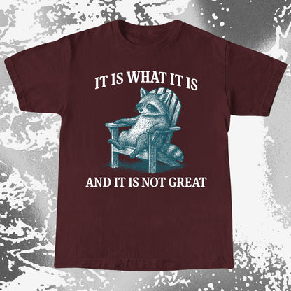 Raccoon It Is What It Is Not Great Shirt