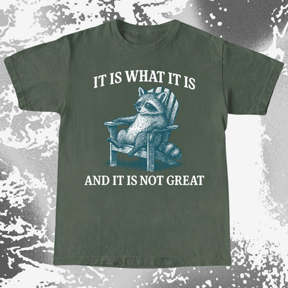 Raccoon It Is What It Is Not Great Shirt