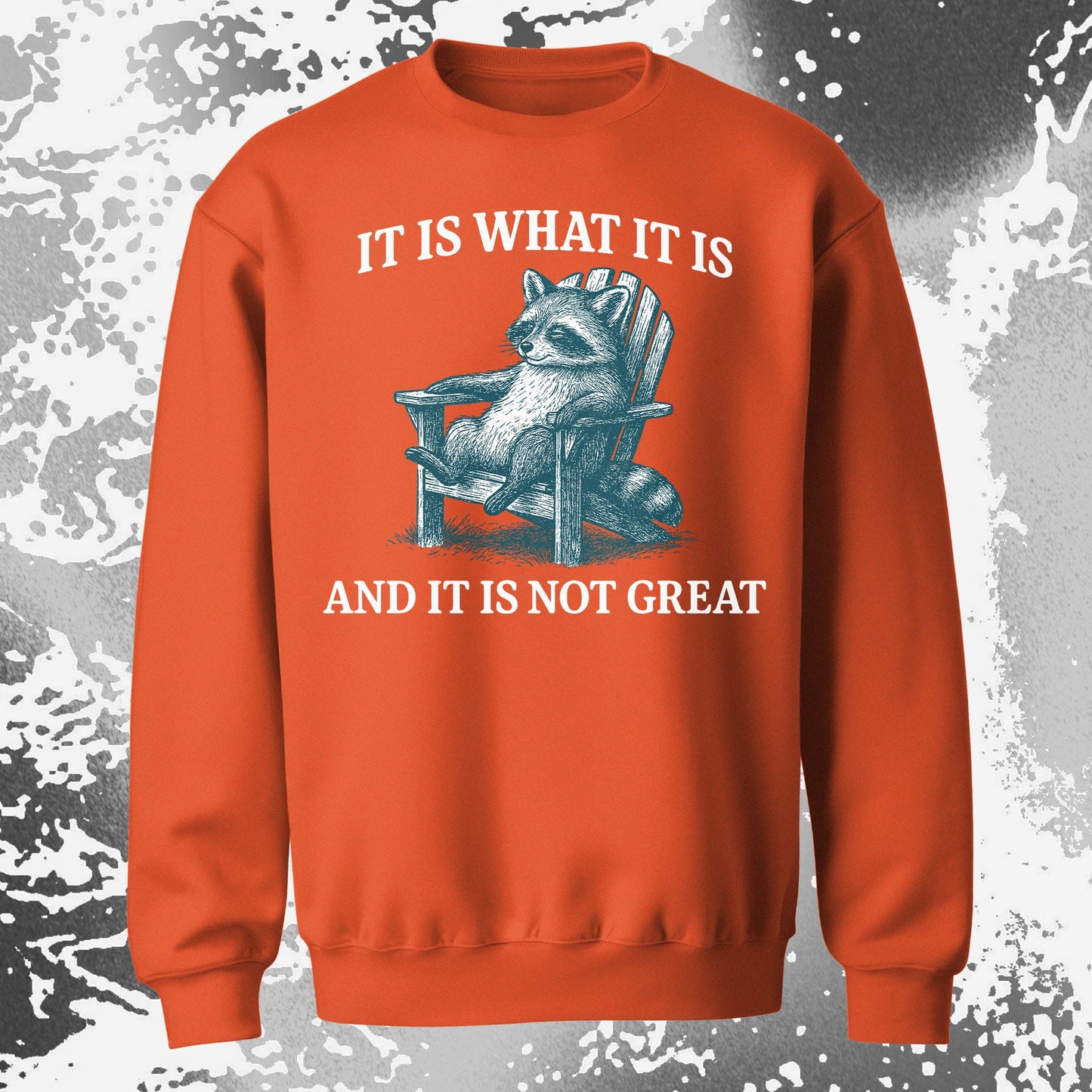 Raccoon It Is What It Is Not Great Shirt