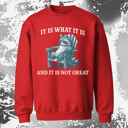 Raccoon It Is What It Is Not Great Shirt