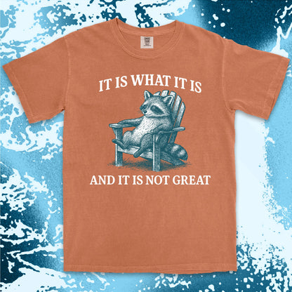 it is what it is not great raccoon comfort colors t-shirt sitting on chair