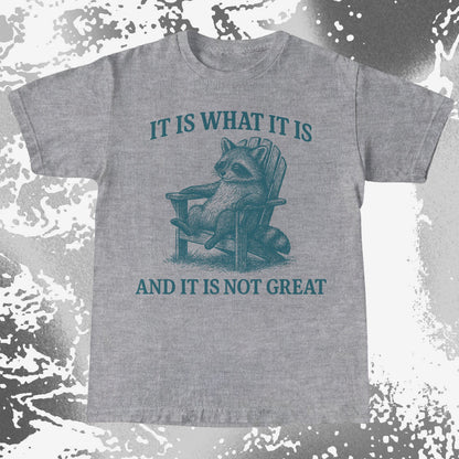 Raccoon It Is What It Is Not Great Shirt