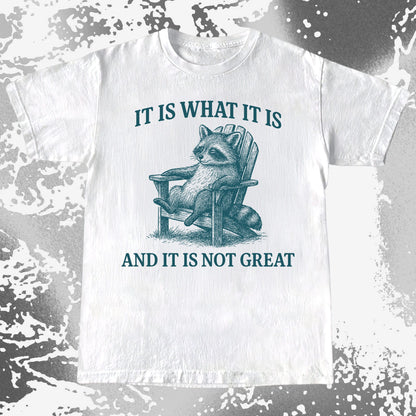 Raccoon It Is What It Is Not Great Shirt