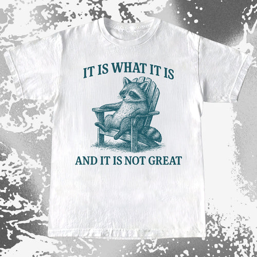 Raccoon It Is What It Is Not Great Shirt