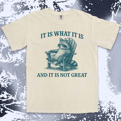 it is what it is not great raccoon comfort colors t-shirt sitting on chair