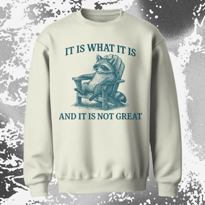 Raccoon It Is What It Is Not Great Shirt