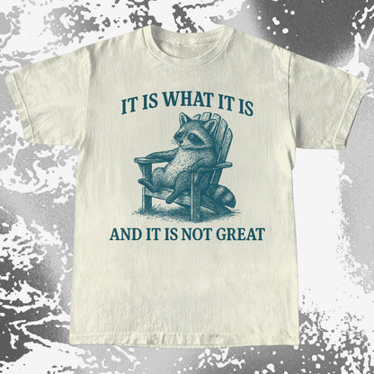 Raccoon It Is What It Is Not Great Shirt