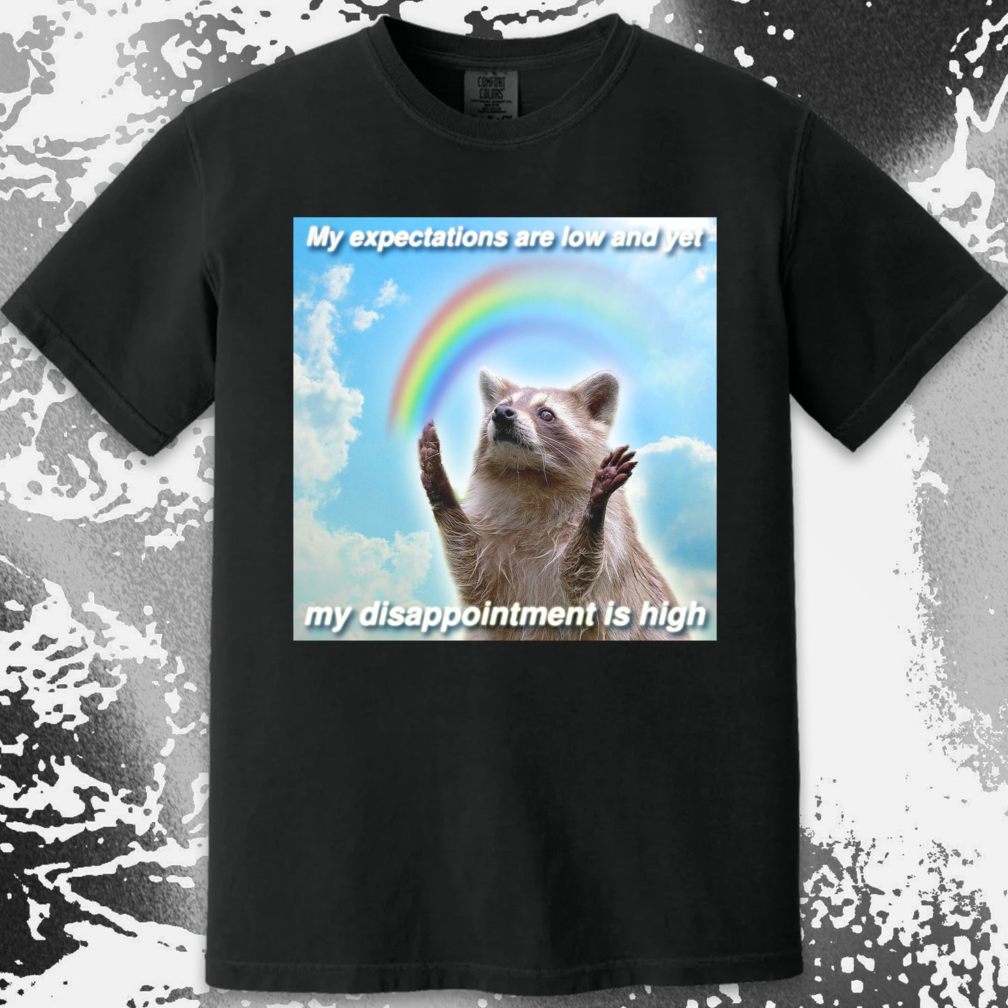 Low Expectations High Disappointment Raccoon T-Shirt
