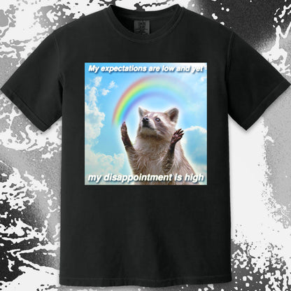 Low Expectations High Disappointment Raccoon T-Shirt
