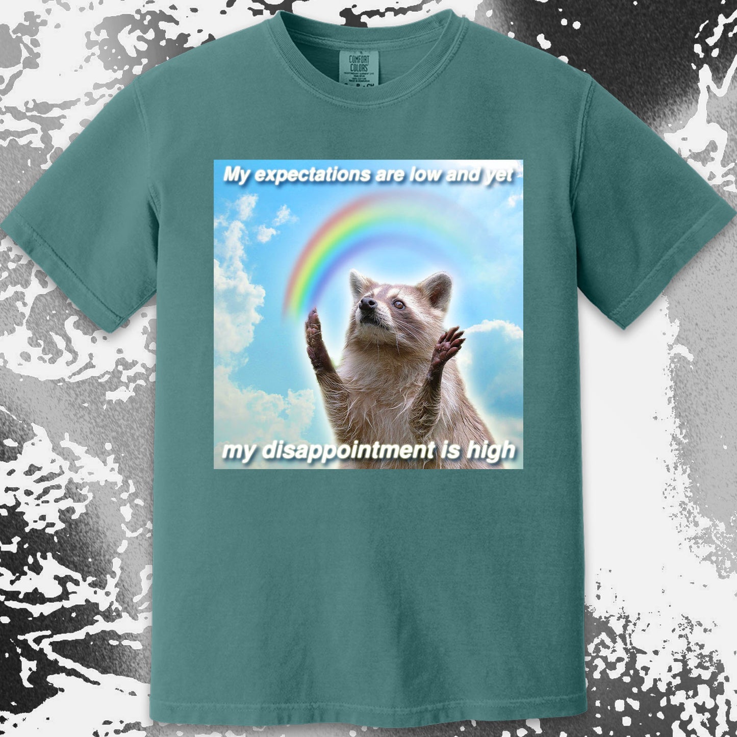 Low Expectations High Disappointment Raccoon T-Shirt