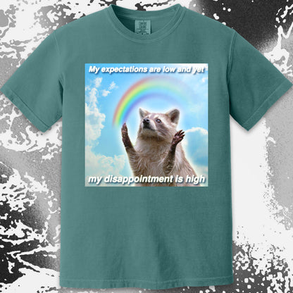 Low Expectations High Disappointment Raccoon T-Shirt
