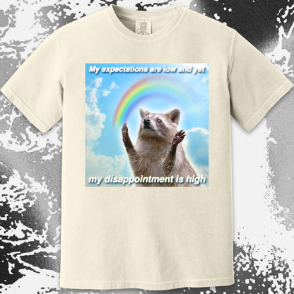 Low Expectations High Disappointment Raccoon T-Shirt