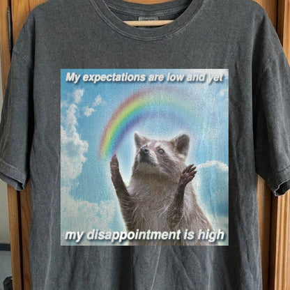 Low Expectations High Disappointment Raccoon T-Shirt