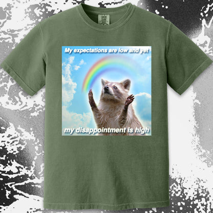 Low Expectations High Disappointment Raccoon T-Shirt