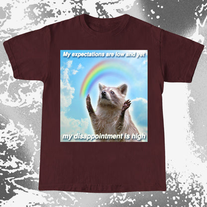 Low Expectations High Disappointment Raccoon T-Shirt