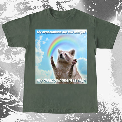 Low Expectations High Disappointment Raccoon T-Shirt
