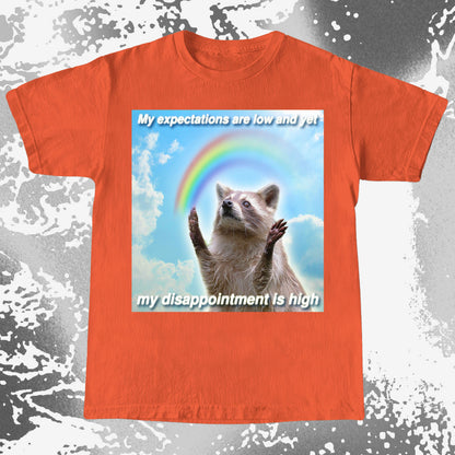 Low Expectations High Disappointment Raccoon T-Shirt