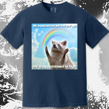 Low Expectations High Disappointment Raccoon T-Shirt