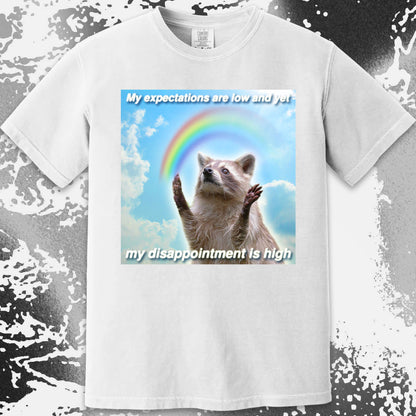 Low Expectations High Disappointment Raccoon T-Shirt