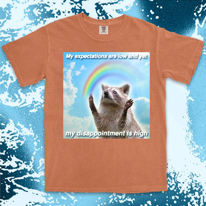 Orange t-shirt with a graphic of a raccoon and rainbow, text 'My expectations are low and yet my disappointment is high', on a blue and white abstract background.