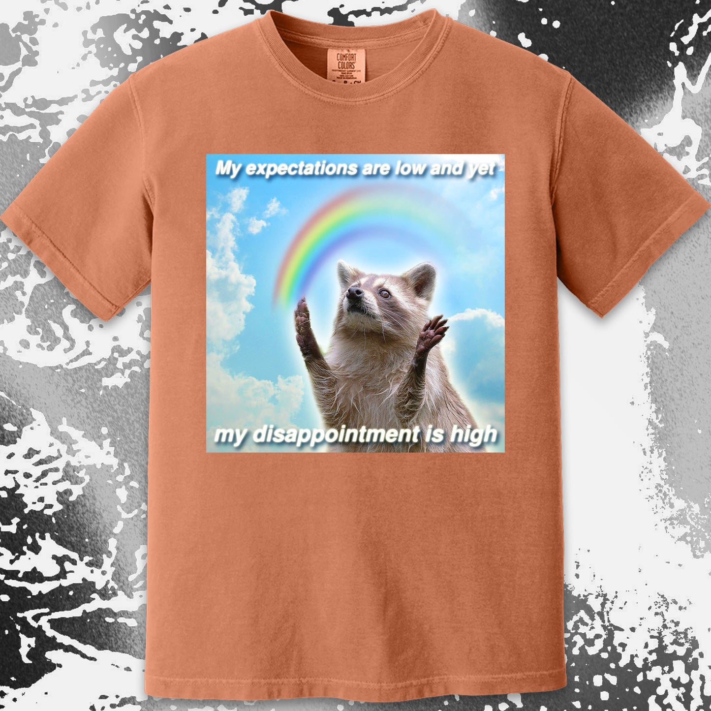 Low Expectations High Disappointment Raccoon T-Shirt