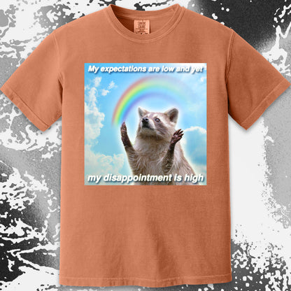 Low Expectations High Disappointment Raccoon T-Shirt