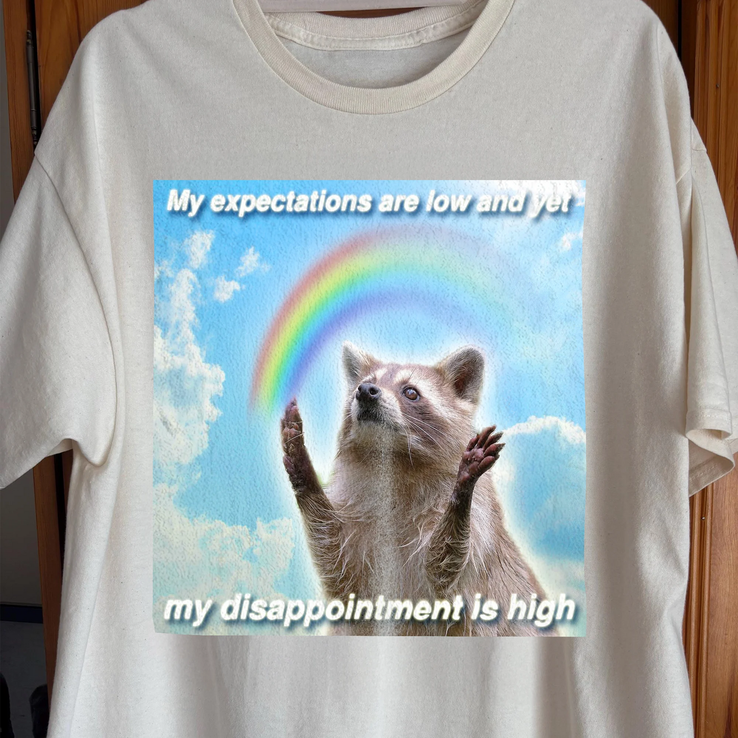 Low Expectations High Disappointment Raccoon T-Shirt