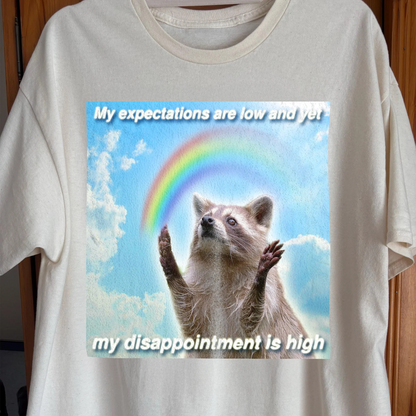 Low Expectations High Disappointment Raccoon T-Shirt