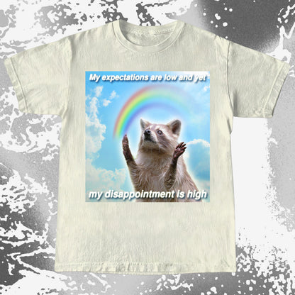 Low Expectations High Disappointment Raccoon T-Shirt