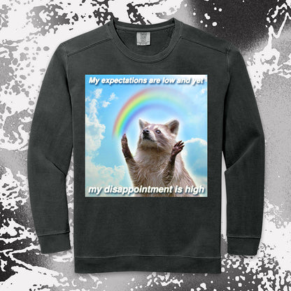 Low Expectations High Disappointment Raccoon Shirt