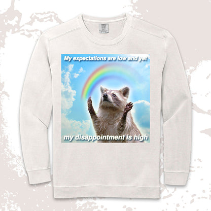 Low Expectations High Disappointment Raccoon Shirt